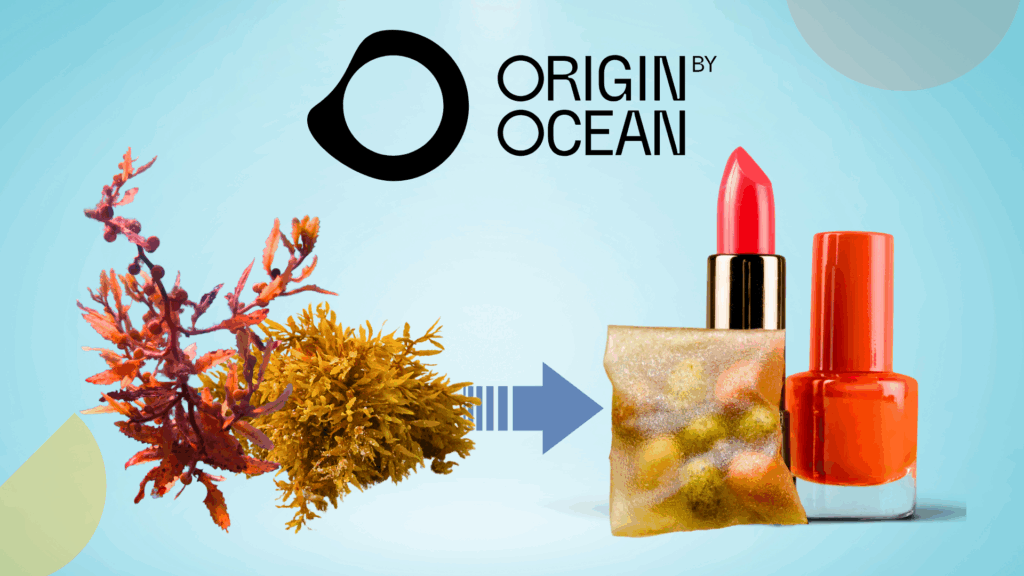 Origin by Ocean scouted interview